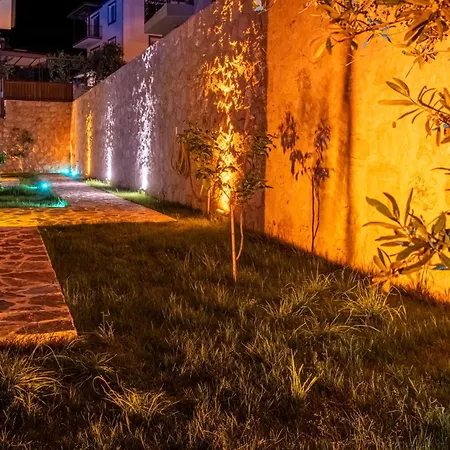 Savaya 1 Villa